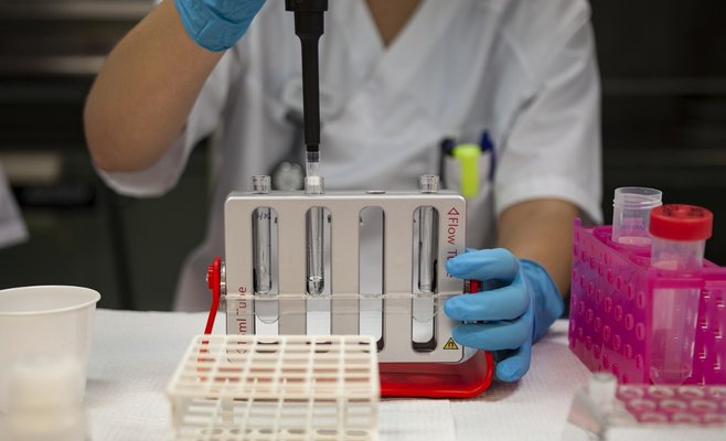 В воскресенье в Чехии было выявлено минимальное количество новых случаев Covid-19 с 13 сентября