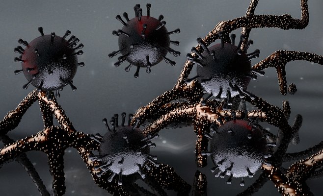 В Праге обнаружена индийская мутация коронавируса