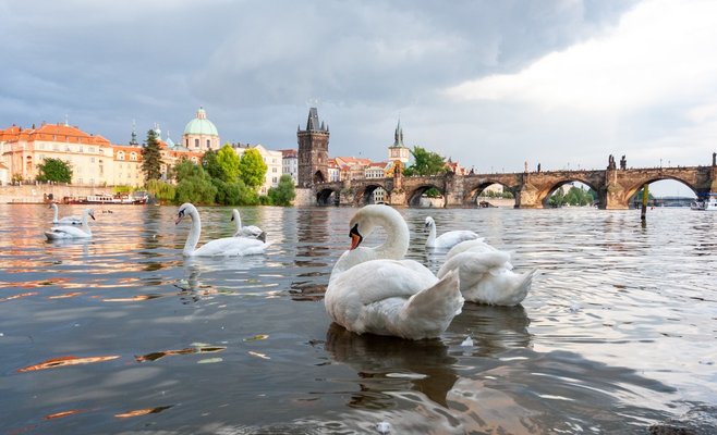 Обзор: какие изменения ожидают Чехию в мае