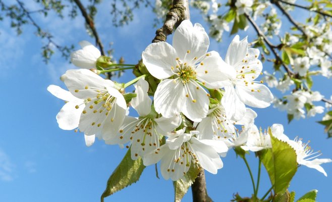 Май в этом году будет прохладным