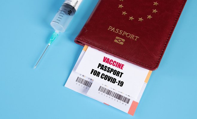 Чехия готовится к запуску covid-паспортов