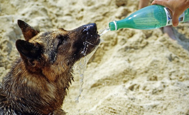 В пятницу температура в Чешской Республике поднимется выше 34 градусов