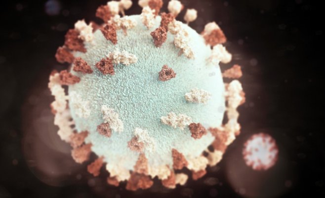 В Чехии обнаружен первый случай новой мутации коронавируса под названием «дельта плюс»