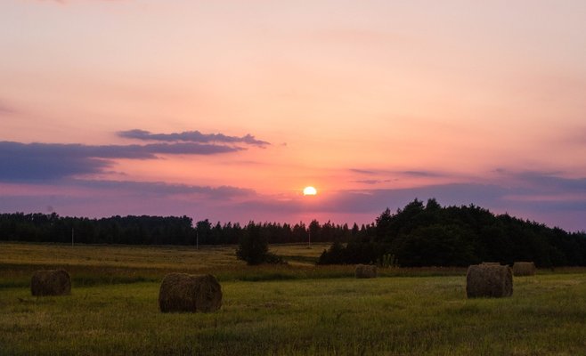 По словам метеорологов, в августе сохранится изменчивая погода