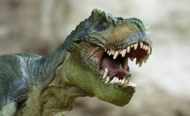 Уникальный музей в Праге предложит самую большую коллекцию динозавров в мире