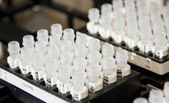 Ежедневное число новых случаев заражения Сovid-19 в Чехии упало ниже 500