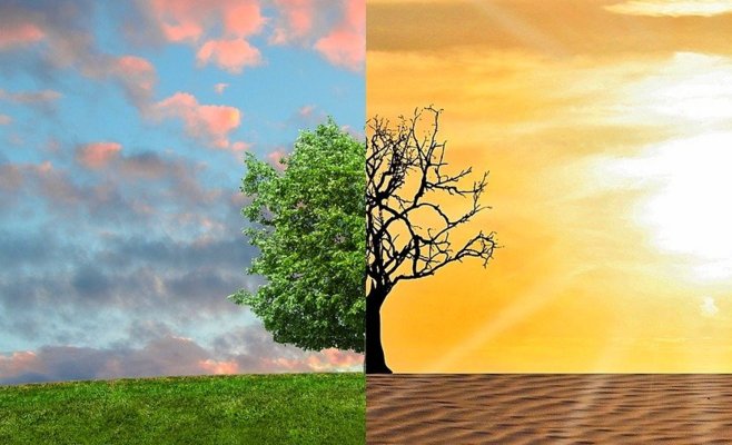 Четыре пятых молодых людей в Чехии боятся изменения климата