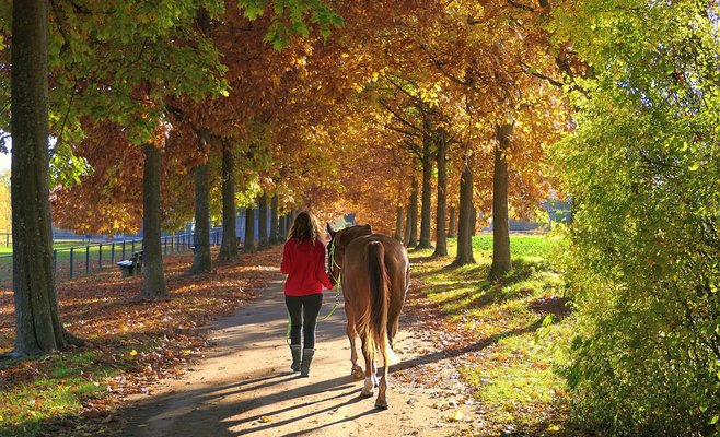В выходные температура в Чехии поднимется до 25 градусов