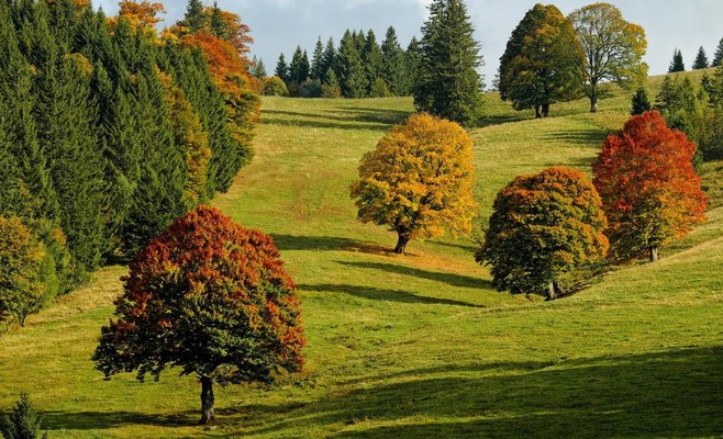 Начало октября в Чехии будет почти по-летнему теплым