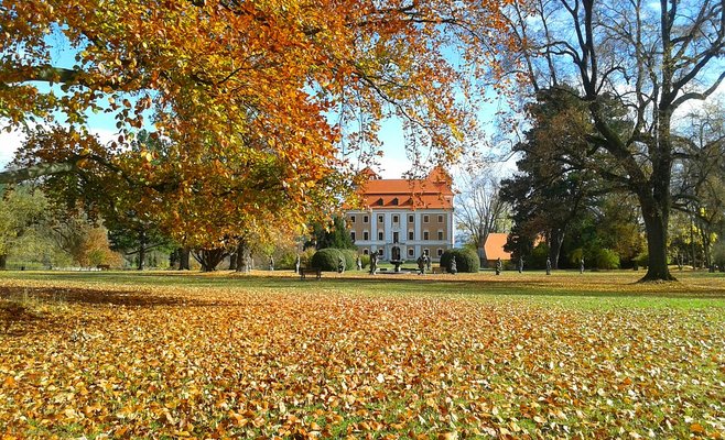 Метеорологи рассказали, какой будет погода в октябре