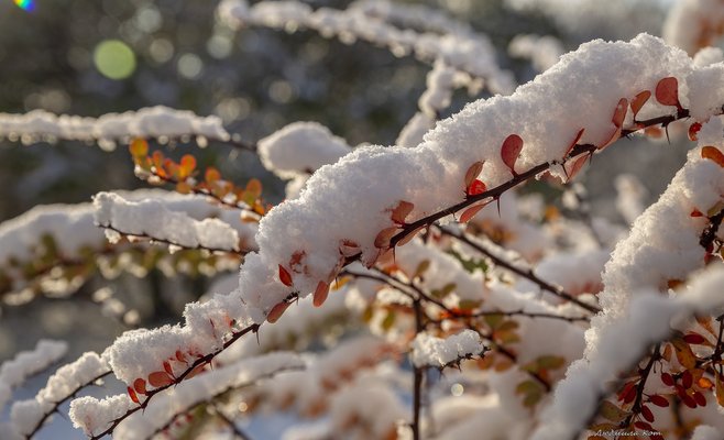 В ближайшие дни в Чехии может выпасть первый снег