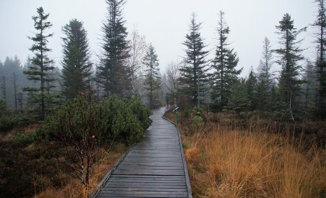 Начало ноября принесет в Чехию типичную осеннюю погоду