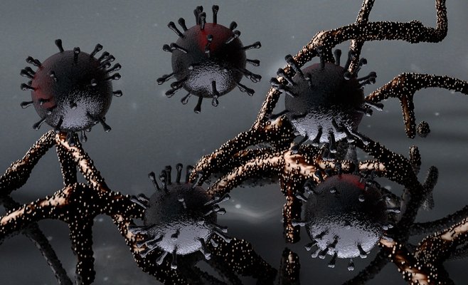 Из-за южноафриканской мутации коронавируса въезд в Чехию из восьми африканских стран будет ограничен