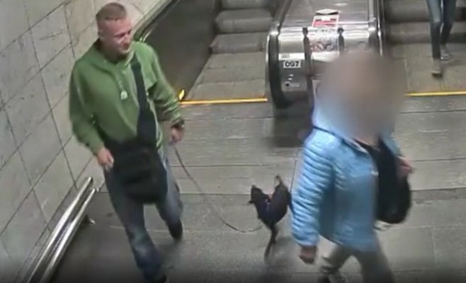 Пражская полиция задержала преступников, укравших собаку у заснувшего пассажира метро
