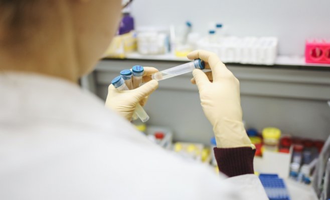 Репродуктивное число R снова снижается