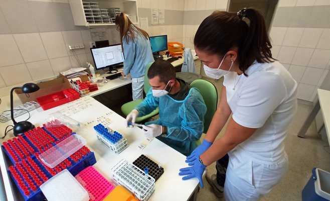 Ежедневное количество новых случаев коронавируса в Чехии снижается в течение 12 дней подряд