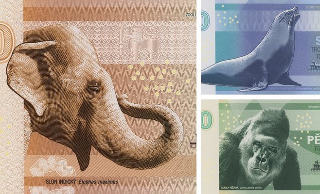 Пражский зоопарк выпустил банкноты с изображениями животных