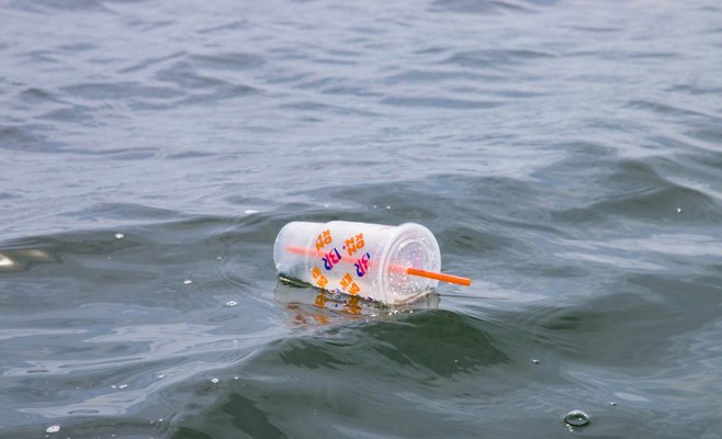 В Чехии приняли в первом чтении закон о запрете одноразовой пластиковой посуды