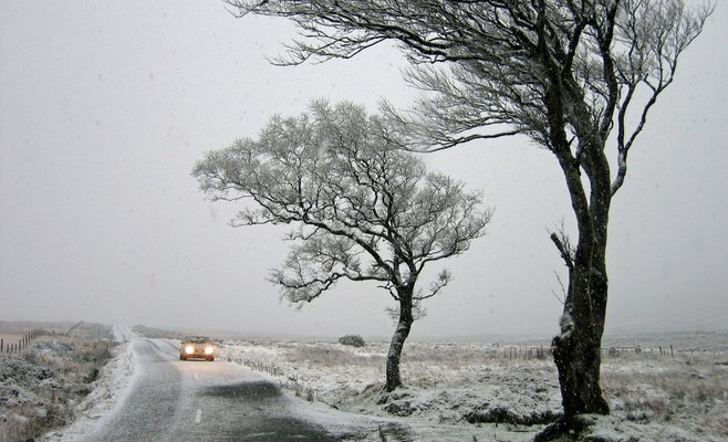 В выходные в Чехии ожидается сильный ветер