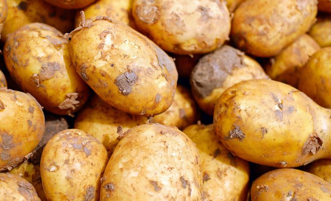 В январе цены на картофель выросли на 55%