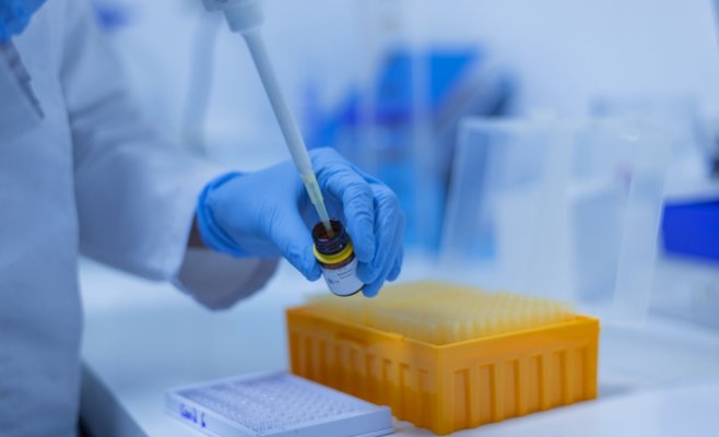 В Чехии обнаружен новый штамм коронавируса BA.2