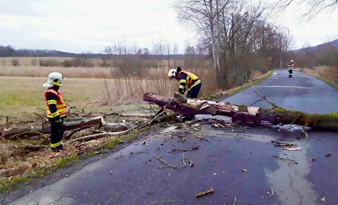 На Чехию обрушится сильный ветер с порывами до 110 км/ч