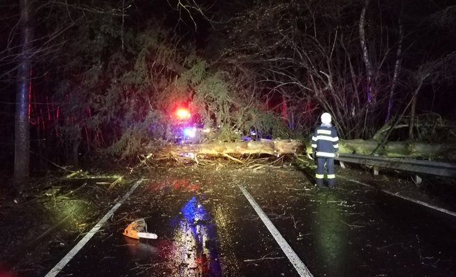 Из-за сильного ветра около 100 тыс. домохозяйств в Чехии остались без электричества