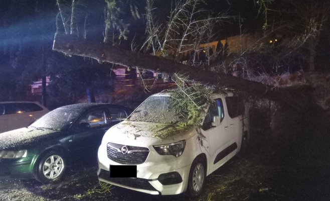 Из-за сильного ветра около 100 тыс. домохозяйств в Чехии остались без электричества