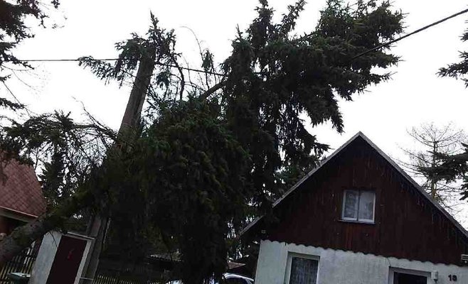 Из-за сильного ветра около 100 тыс. домохозяйств в Чехии остались без электричества