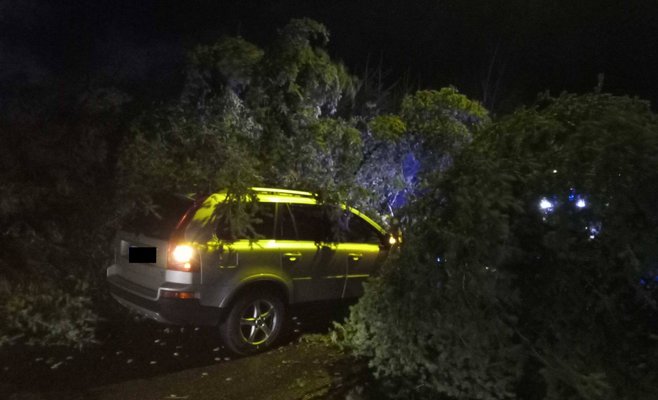 Из-за сильного ветра около 100 тыс. домохозяйств в Чехии остались без электричества