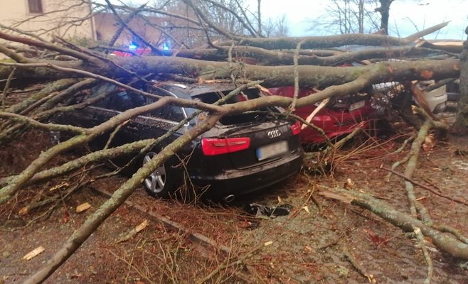 Из-за сильного ветра около 100 тыс. домохозяйств в Чехии остались без электричества