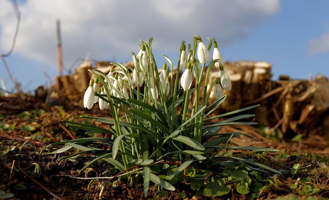 Эта неделя в основном будет ясной и теплой, но в выходные похолодает