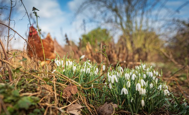 На этой неделе температура в Чехии поднимется до 20 градусов