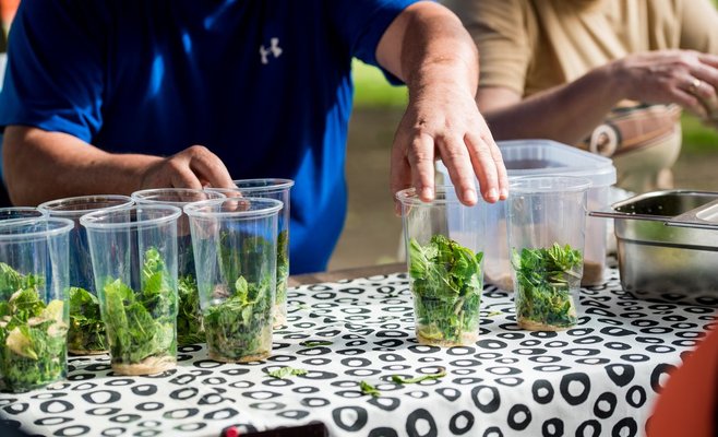 Фестиваль латиноамериканской культуры