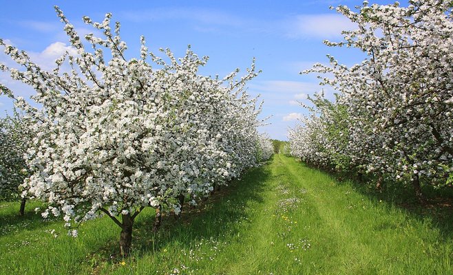 Метеорологи рассказали, какой будет погода в Чехии в ближайший месяц