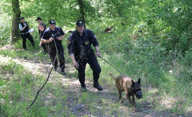 Чехи больше всего доверяют полиции и армии, а меньше всего политическим партиям