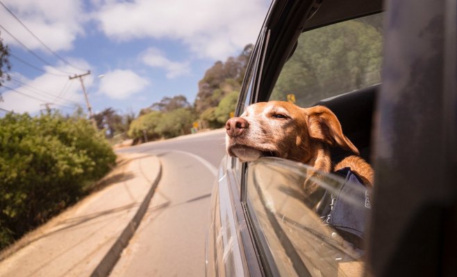 Метеорологи выпустили предупреждение об экстремальной жаре