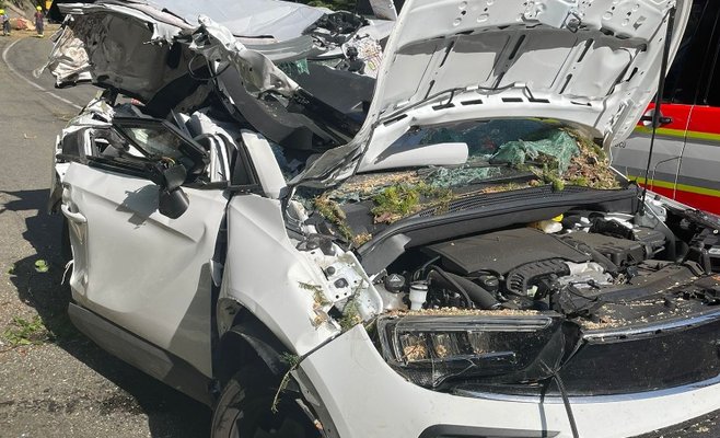 В горах Крконоше на автомобиль упало дерево, три человека погибли
