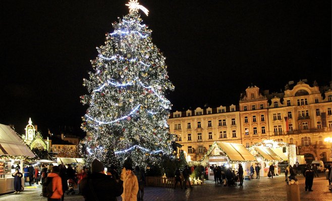 Прага объявила конкурс на главную рождественскую елку Чехии