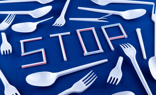 Парламент Чехии одобрил запрет одноразовых пластиковых изделий