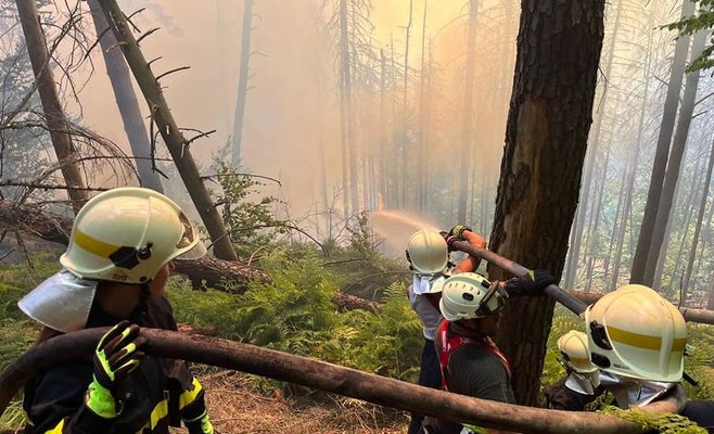 Более 100 пожарных тушат пожар в национальном парке Чешская Швейцария