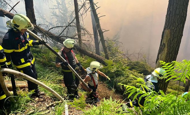 Дым от пожара в Чешской Швейцарии накрыл половину страны