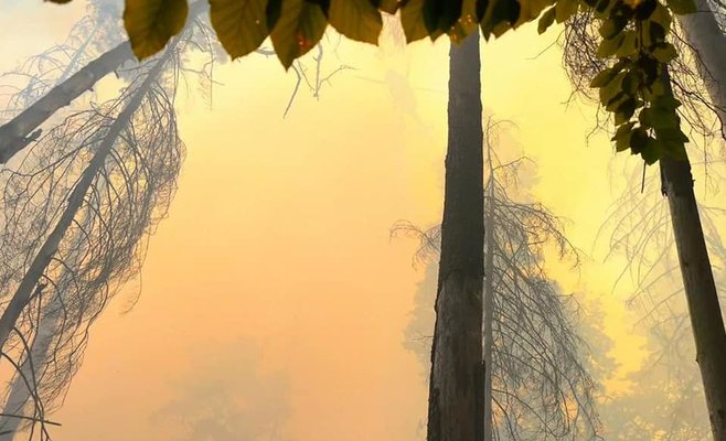 Дым от пожара в Чешской Швейцарии накрыл половину страны