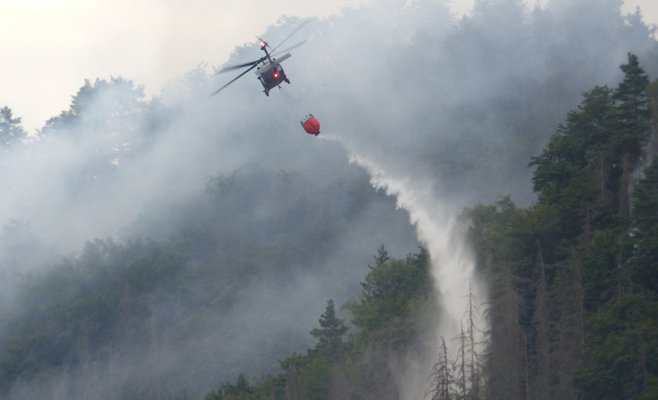 В Устецком крае вводится запрет на въезд в леса