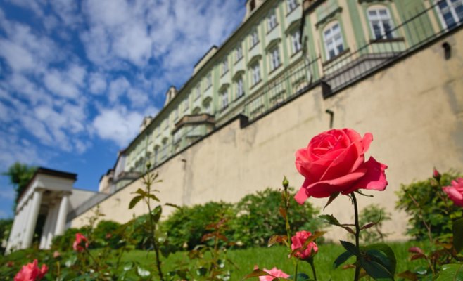 Обзор: какие изменения ожидают Чехию с 1 августа