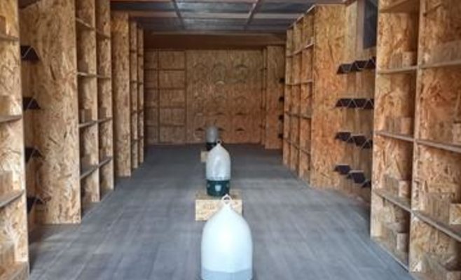 На Марианской площади в Праге появилась первая муниципальная голубятня