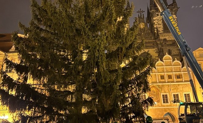 На Староместсткой площади в Праге установили рождественскую елку