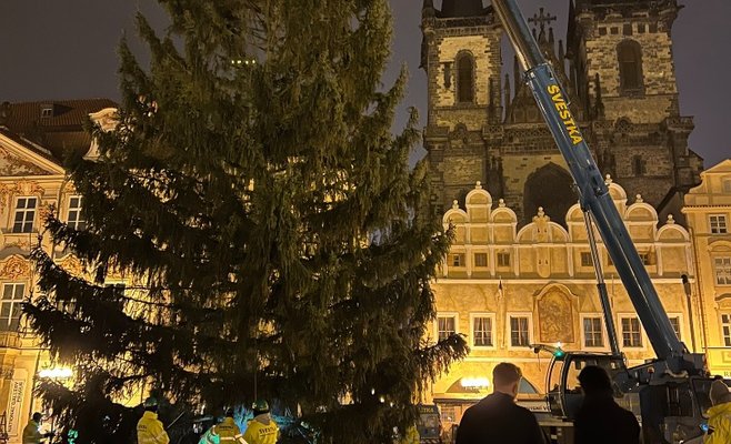 На Староместсткой площади в Праге установили рождественскую елку