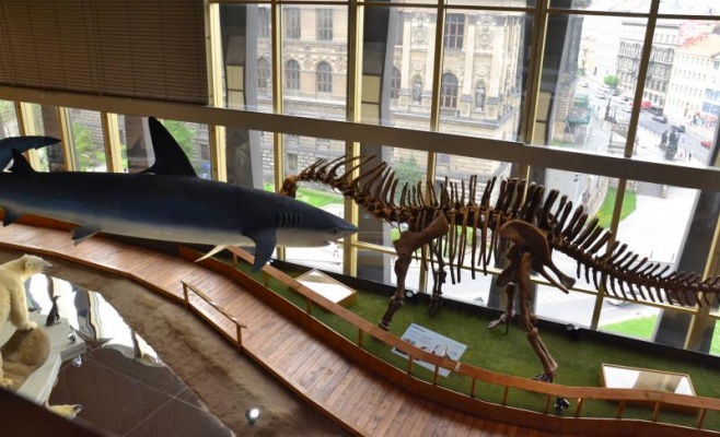 Зоологическая выставка Archa Noemova