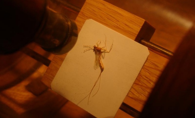 Музей миниатюр